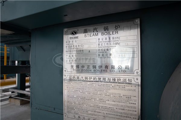 食品加工廠6噸工業(yè)燃?xì)忮仩t哪個(gè)牌子好